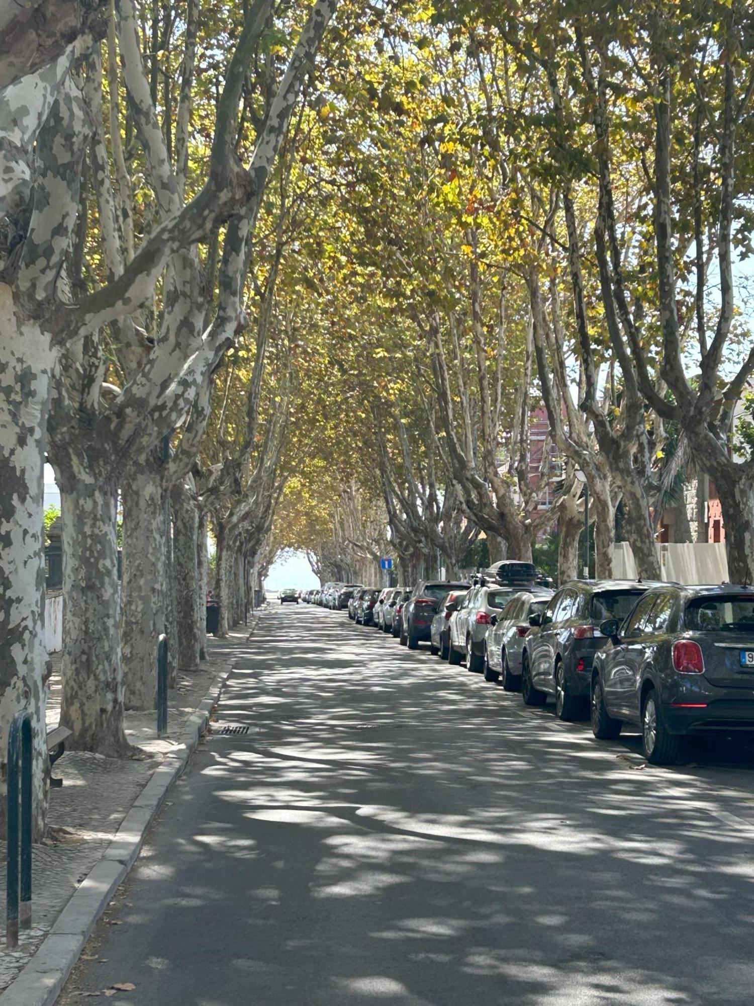 Mar Verde - Parede-Cascais Экстерьер фото