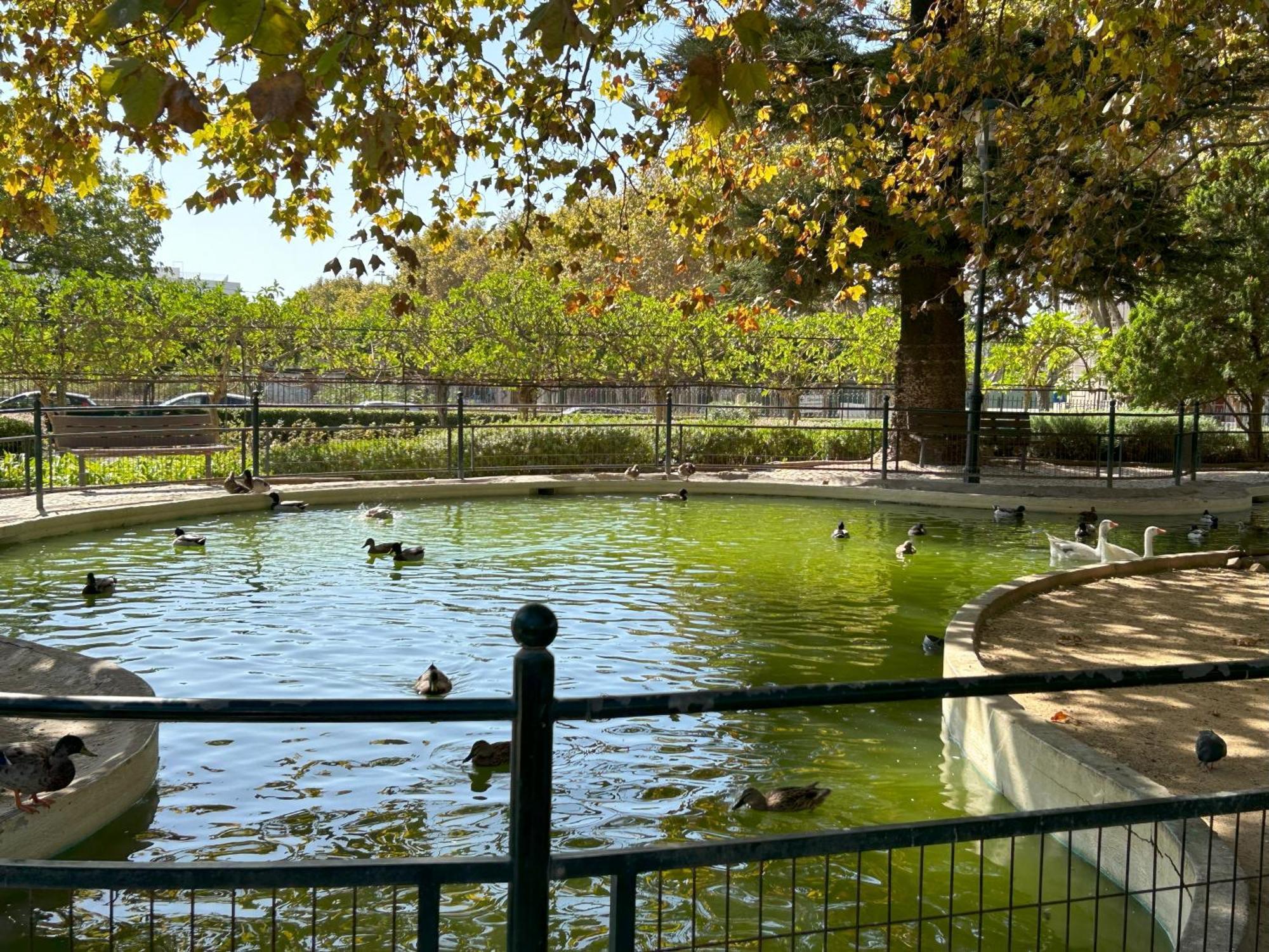 Mar Verde - Parede-Cascais Экстерьер фото